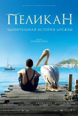 Пеликан Смотреть онлайн